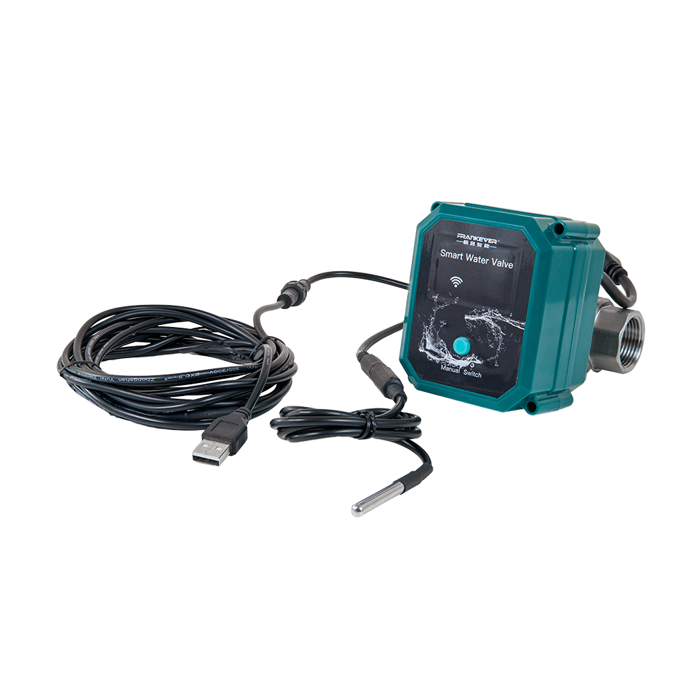 Smarthome Shelly Frankever Smart Water Valve DN25 FG3800238070670