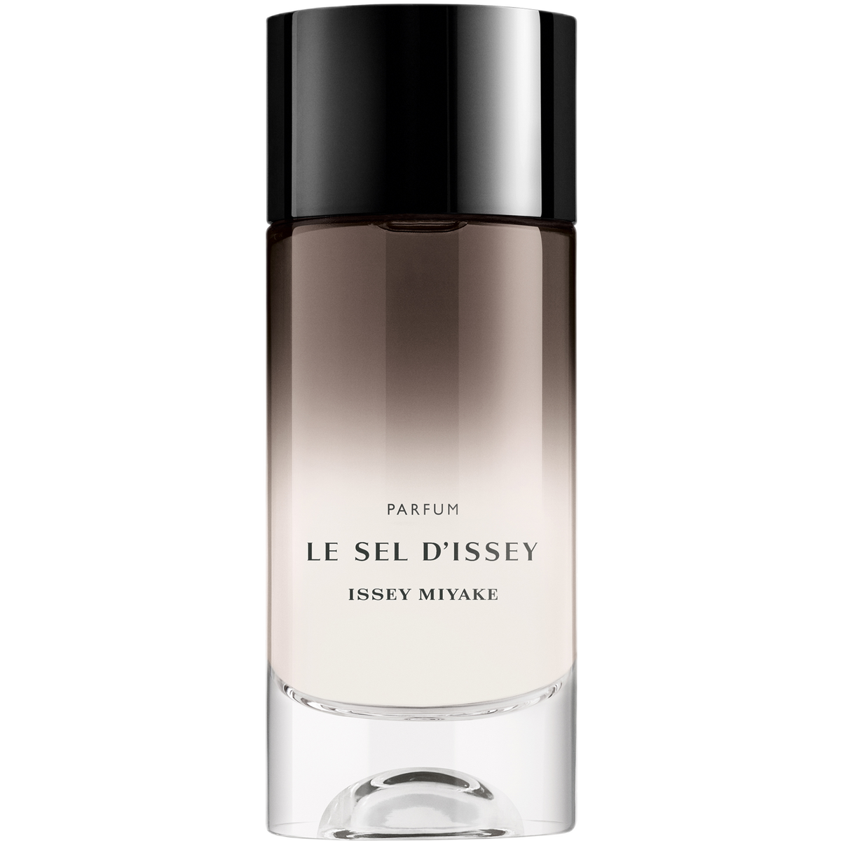 Perfume Issey Miyake Le Sel Issey Masculino 100ML Parfum