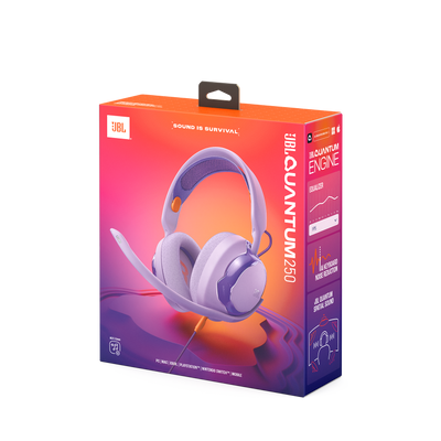 Auricular JBL Quantum Gaming Q250