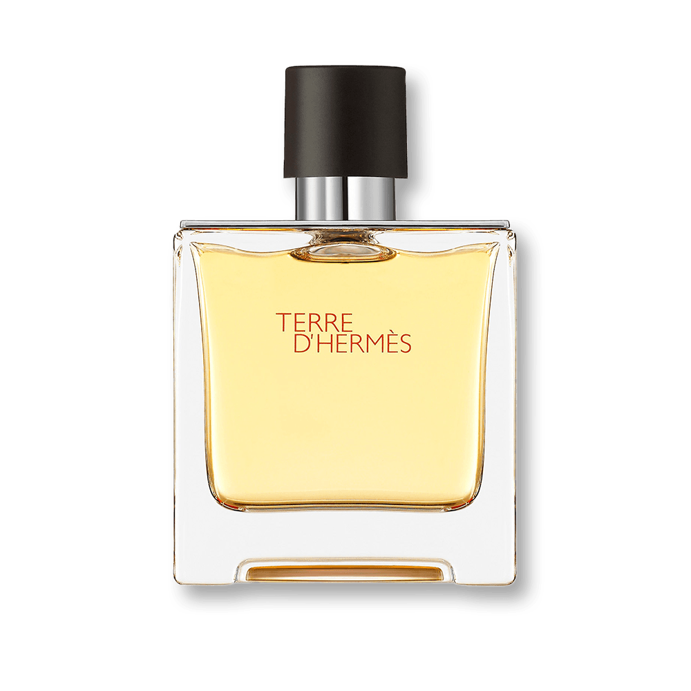 Perfume Hermes Terre Hermes Masculino 100ML EDT