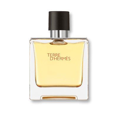Perfume Hermes Terre Hermes Masculino 100ML EDT