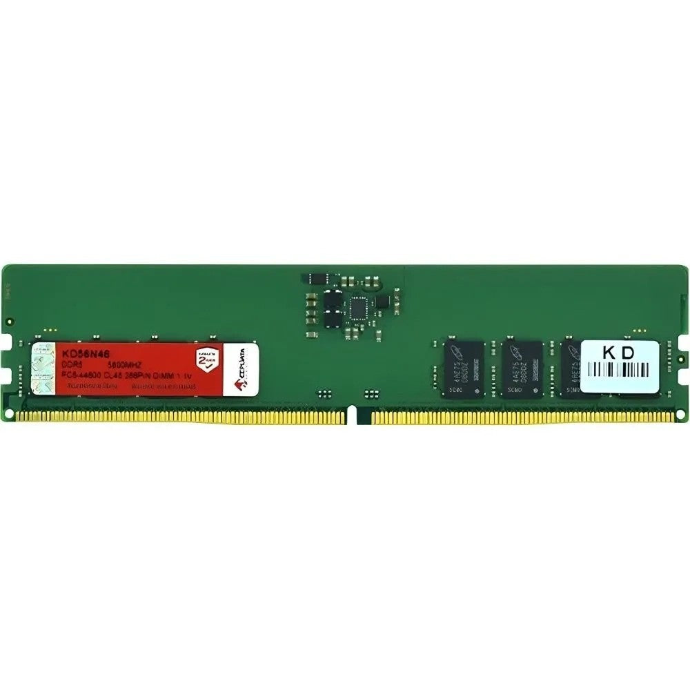 Memoria RAM Keepdata KD56N46/16G 16GB DDR5 5600MHz para PC Único
