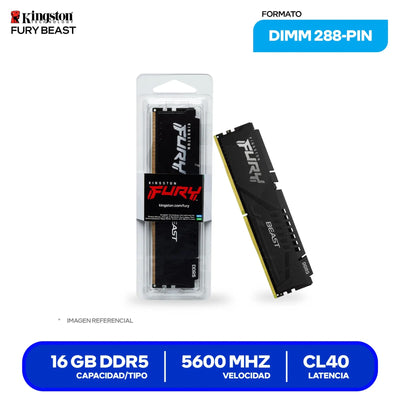 Memoria RAM Kingston Fury Beast KF556C40BB-16 16GB DDR5 5600MHz para PC Único