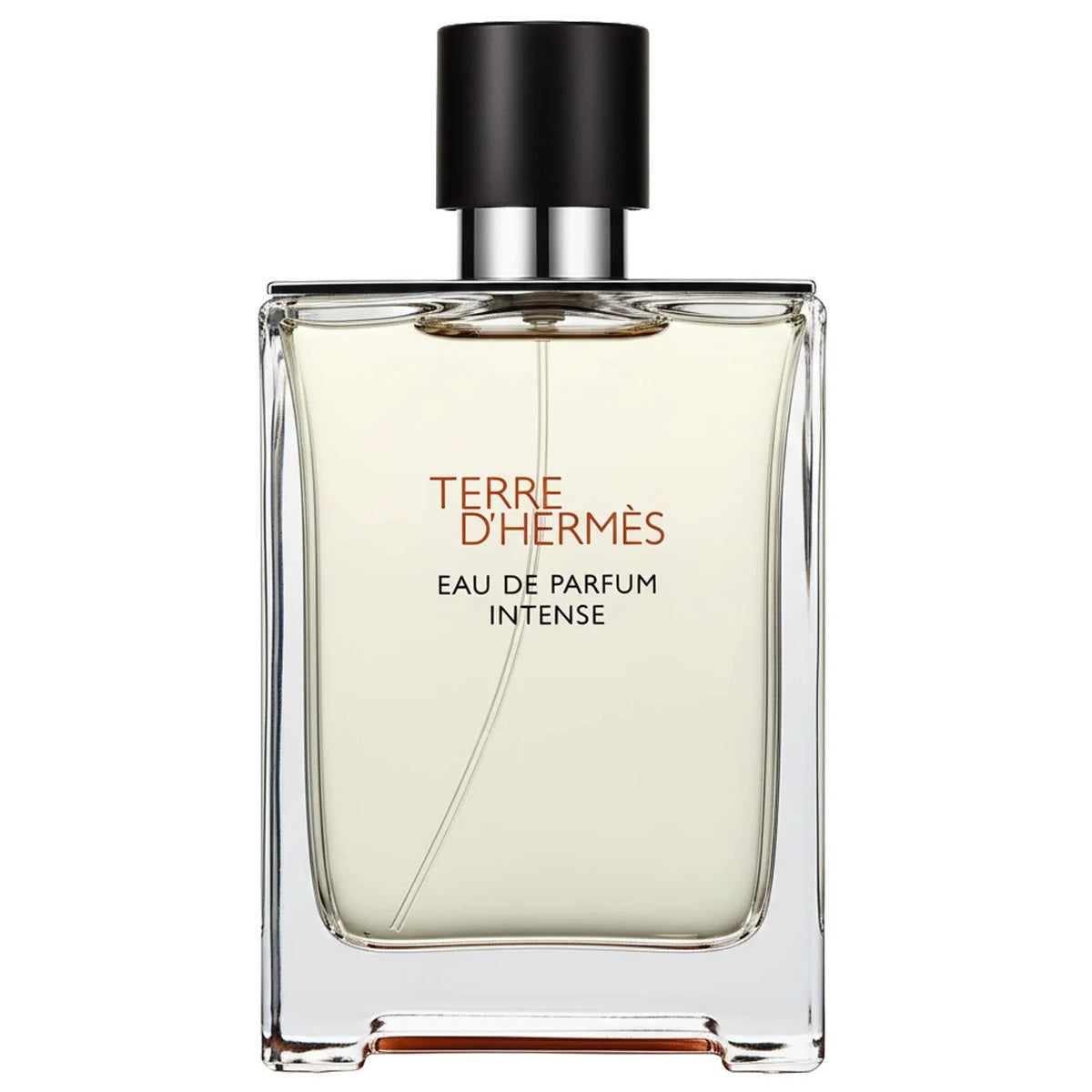 Perfume Hermès Terre d'Hermès Masculino 100ML EDP Intense Único