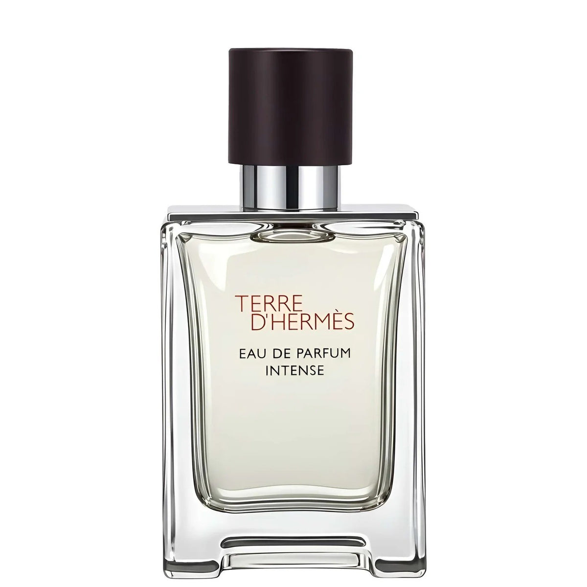 Perfume Hermès Terre d'Hermès Masculino 50ML EDP Intense Único
