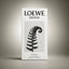 Perfume Loewe Esencia Masculino 100ML EDP Único