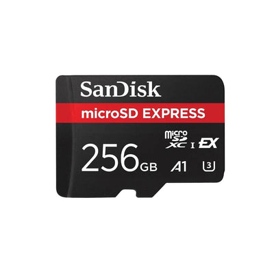Tarjeta de Memoria Micro SD SanDisk Express 256GB Único