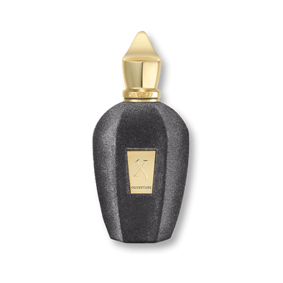 Perfume Xerjoff Ouverture Unisex 100ML EDP